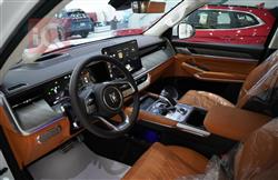 GWM تانك 500